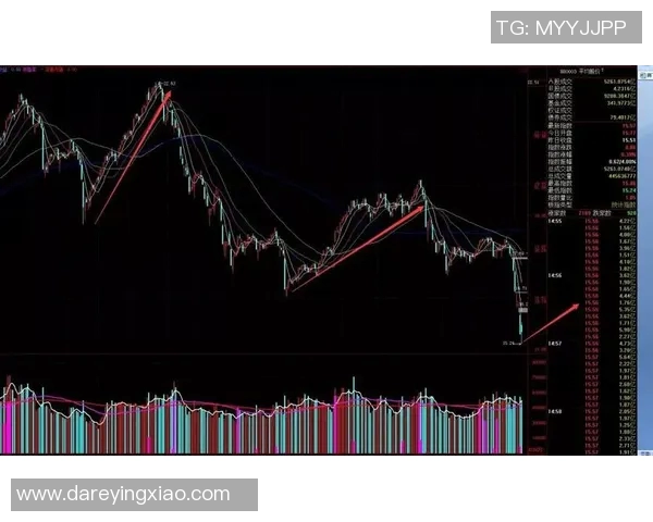 武汉羽毛球队与成都羽毛球队赛后复盘分析比赛节奏与战术对比