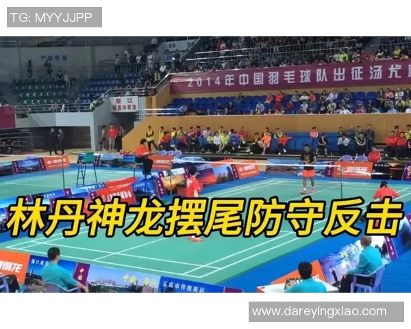 深圳羽毛球队反击之路的得失与启示分析 深圳羽毛球队反击之路的得失与启示分析