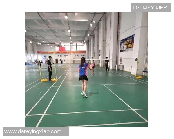 北京羽毛球队在精英赛中的意识表现分析与总结