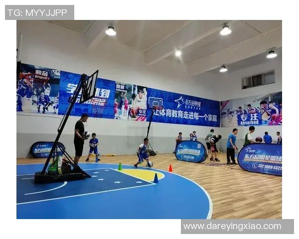 南京羽毛球队包夹战术革新探讨与未来发展展望 南京羽毛球队包夹战术革新探讨与未来发展展望